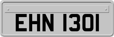 EHN1301
