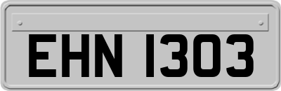 EHN1303