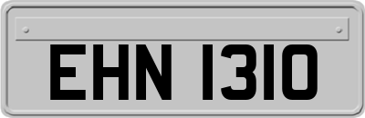 EHN1310
