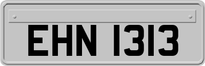 EHN1313