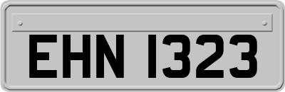 EHN1323
