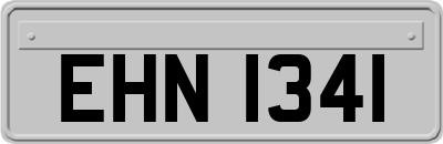 EHN1341