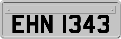 EHN1343