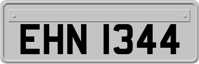 EHN1344