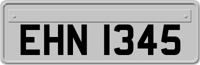 EHN1345