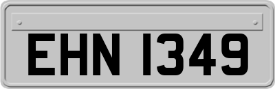 EHN1349