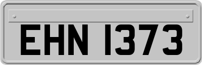 EHN1373