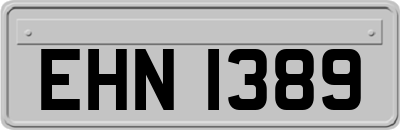 EHN1389