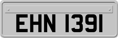 EHN1391