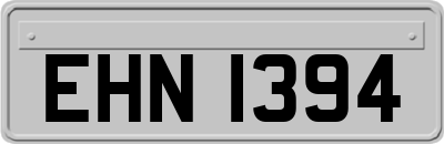 EHN1394