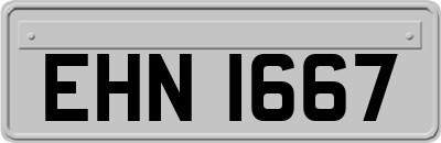 EHN1667