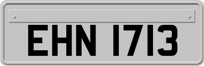 EHN1713