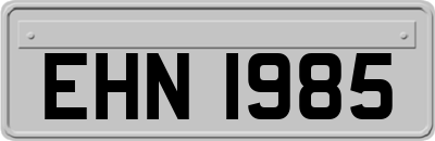 EHN1985