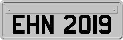 EHN2019