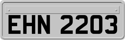 EHN2203