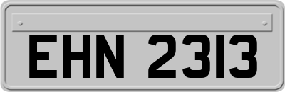EHN2313