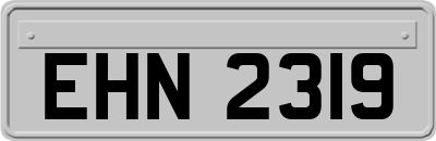 EHN2319
