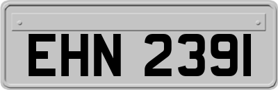 EHN2391
