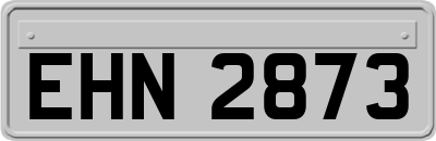 EHN2873