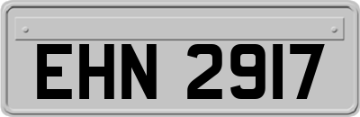 EHN2917