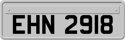 EHN2918