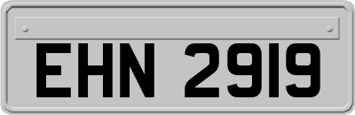 EHN2919