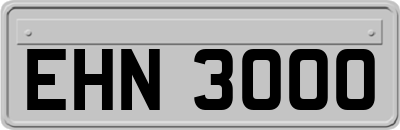 EHN3000