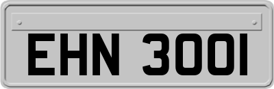 EHN3001