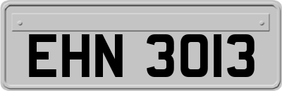 EHN3013