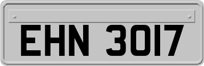 EHN3017