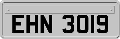 EHN3019