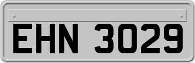 EHN3029