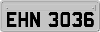EHN3036