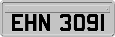 EHN3091