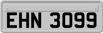 EHN3099