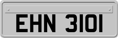 EHN3101