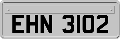 EHN3102