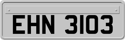 EHN3103