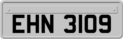 EHN3109