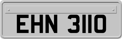 EHN3110