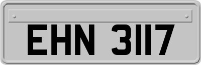 EHN3117