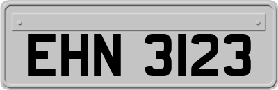 EHN3123