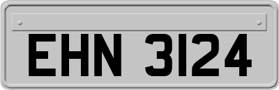 EHN3124