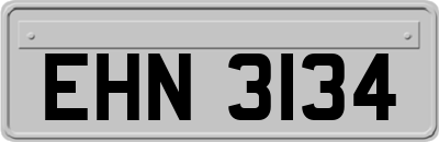 EHN3134