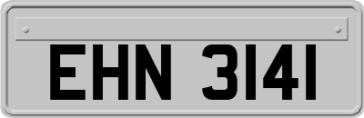EHN3141