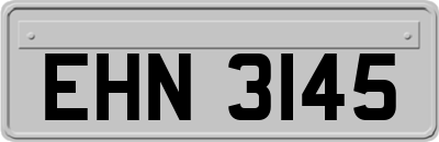 EHN3145