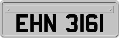 EHN3161
