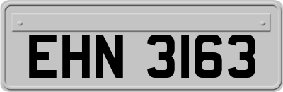 EHN3163