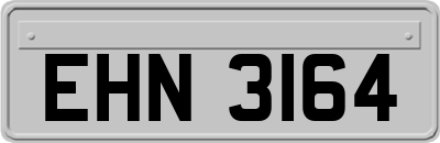 EHN3164