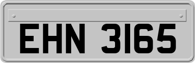 EHN3165